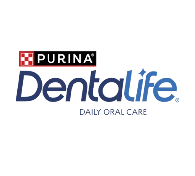 Dental Life logo