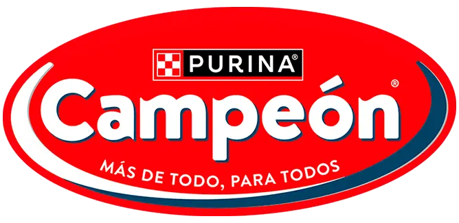 كامبيون (Campeón) logo