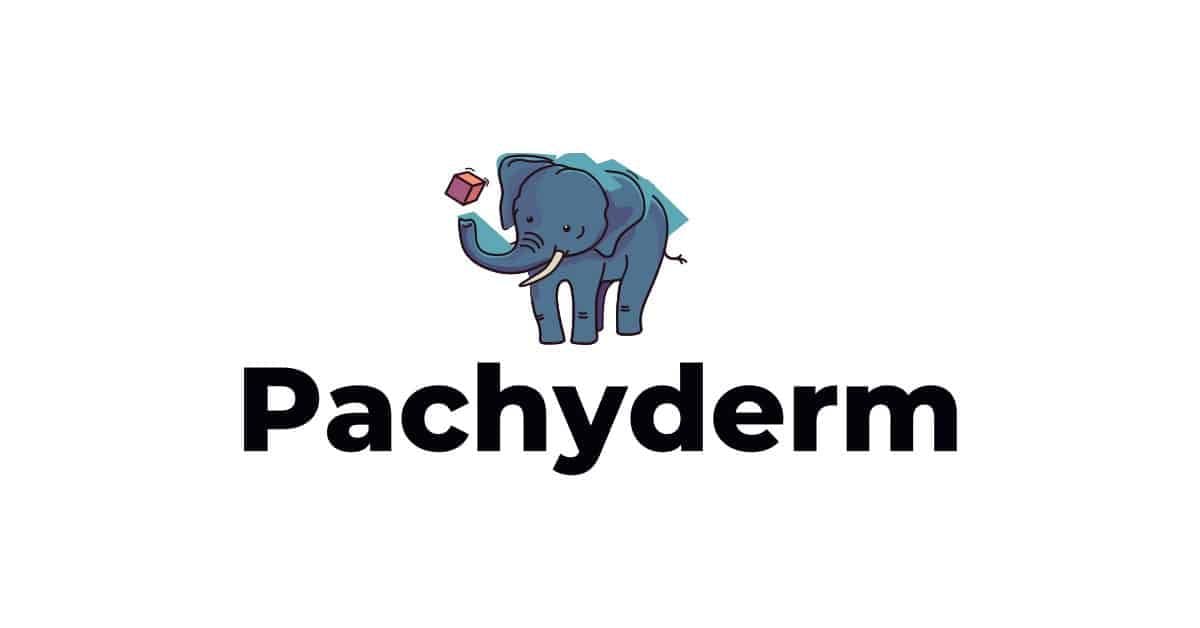 باتشيديرم (Pachyderm)