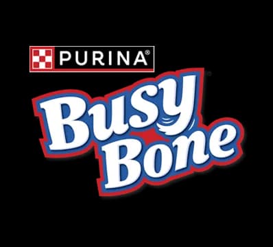 بزي بون (Busy Bone)
