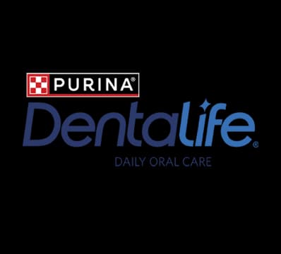 دنتال لايف (Dental Life)