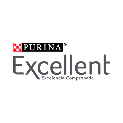 إكسلينت (Excellent) logo