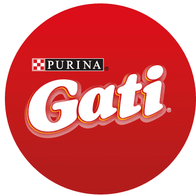 جاتي (Gati)