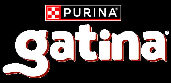 جاتينا (Gatina)