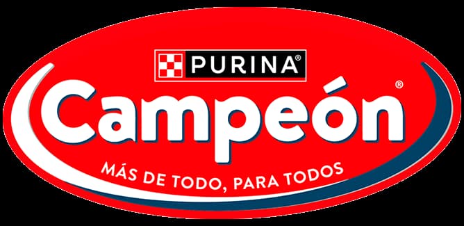 كامبيون (Campeón)