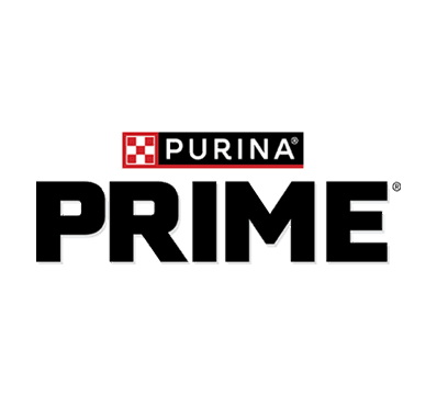 Prime