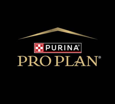 Pro PLan logo