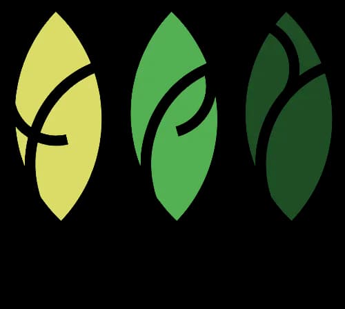 TPY Capital venture capitalist logo
